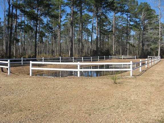 pond