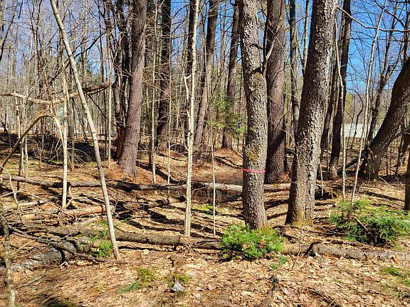 5th image of Map 105 Lot 20 Lost River Road