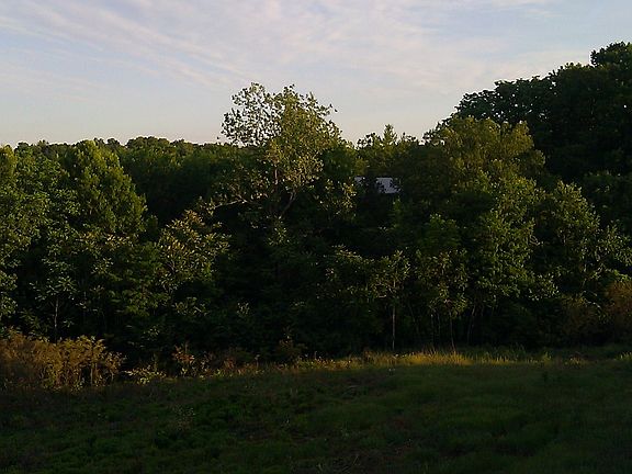 view from back porch