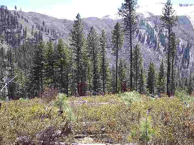 1st image of 1 Plateau Dr