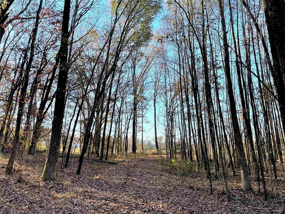 2nd image of 0 Hays Rd Lot 1