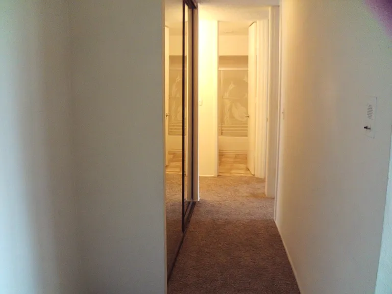 3050 Rue Dorleans #355 — Photo 7