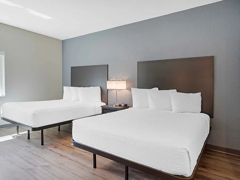 Studio Suite - 2 Queen Beds