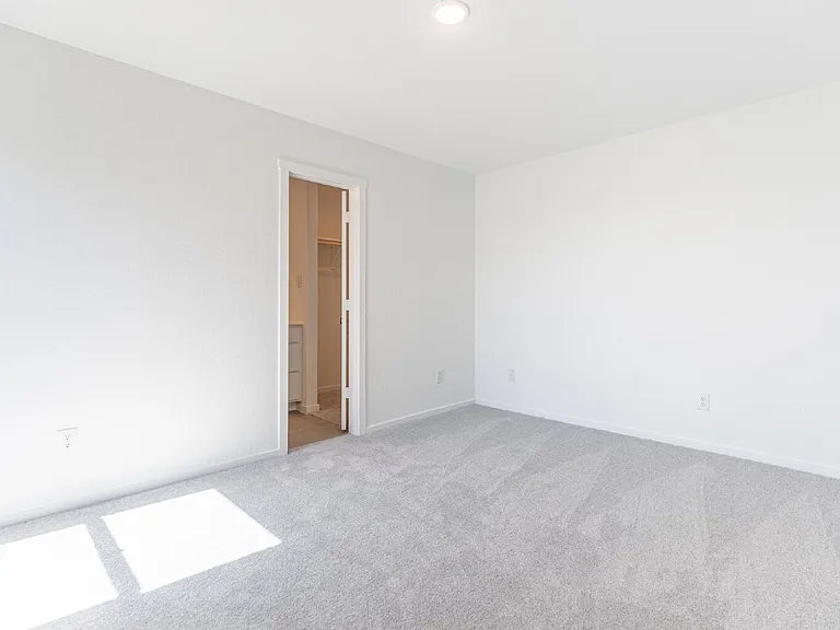 2922 Carnelian Trl — Photo 19