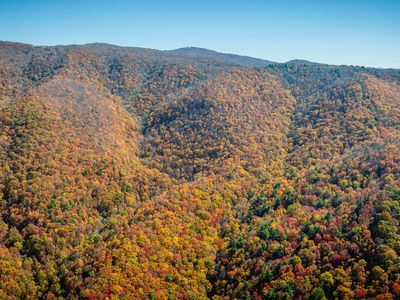 Bishop Rd, Laurel Bloomery, TN, 37680
