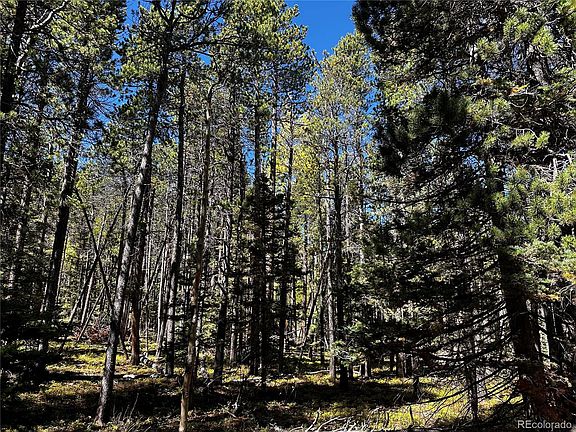 3rd image of 3443 Drexler Place LOT 3443