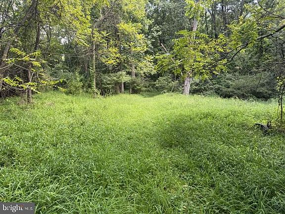 4th image of 1294 Mount Wilson Rd