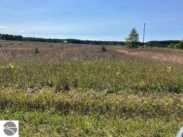NULLD Walton Rd, Kingsley, MI 49649