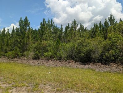 106 JAPONICA DRIVE LOT 3, Indian Lake Estates, FL, 33855