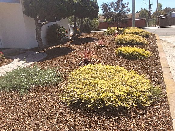 Front Yard w/Landscape