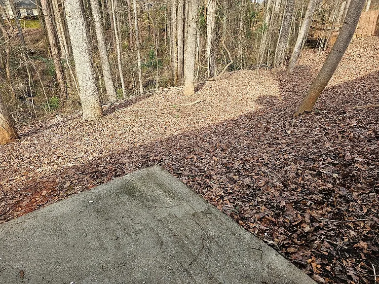 1651 White Oak Dr — Photo 25