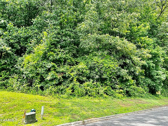 5th image of Dogwood Cove Dr