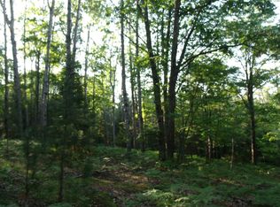 Black Mountain Rd, Onaway, MI 49765