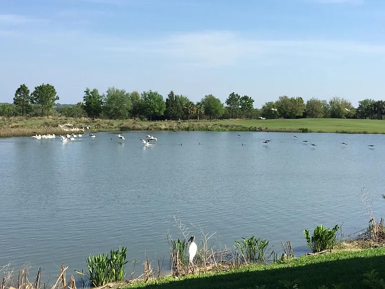 7005 River Hammock Dr #104 — Photo 14