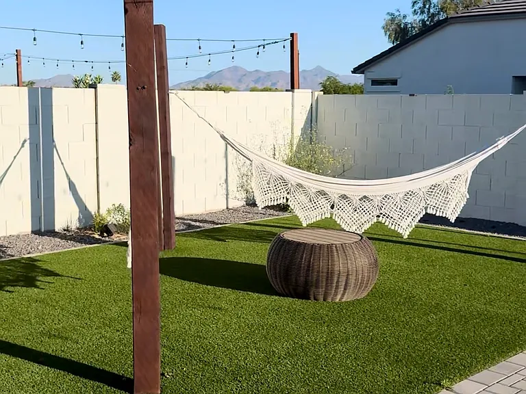 Backyard Hammock View