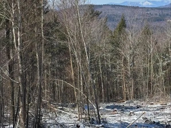 00 Ellingwood Road, Paris, ME 04271