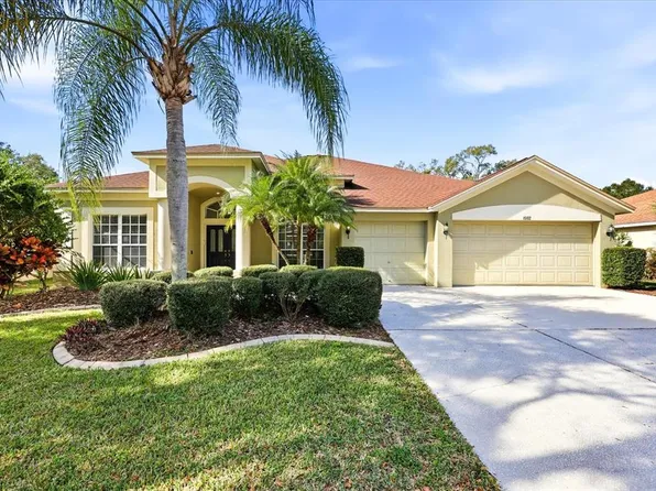 15102 Arbor Hollow Dr, Odessa, FL 33556