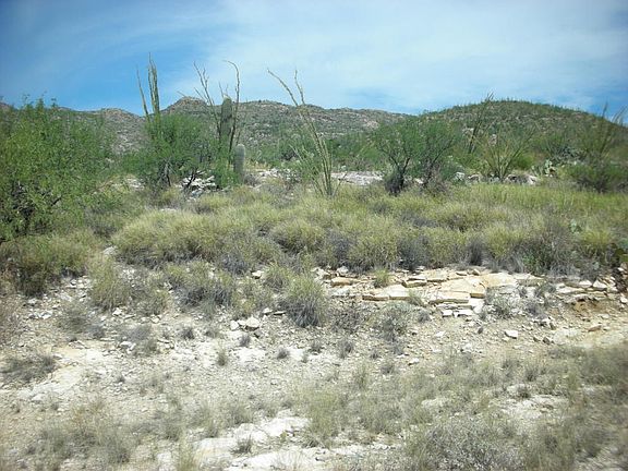 5th image of 12243 E Mira Vista Canyon Pl