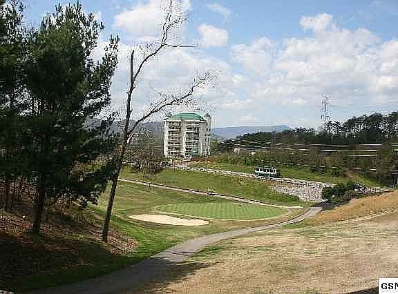 2nd image of 503 Dollywood Ln