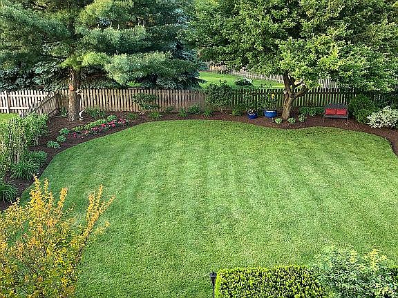 Room for backyard fun!