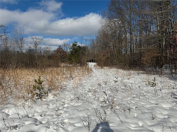 4th image of Tibbetts Wick Road Liberty