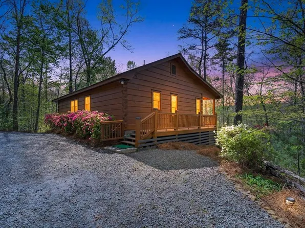 122 N Moreland Dr, Cherry Log, GA 30522