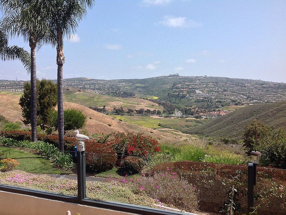 Canyon view from backyard