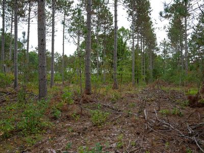 2 Bollig, Nekoosa, WI, 54457
