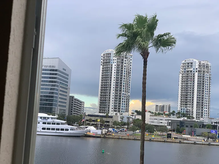 Window View 4_11222020