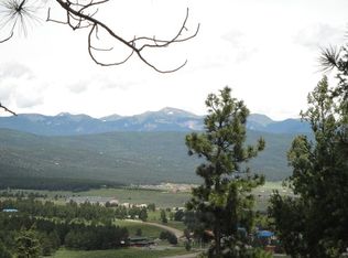 41 Vail Ave, Angel Fire, NM 87710