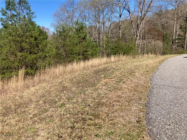 0 Coras Vw Lot 38, Blairsville, GA 30512