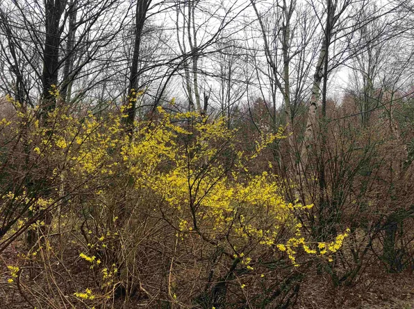 986 Chapel Hill Road, Whitingham, VT 05361