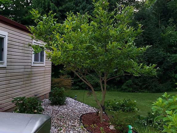 4th image of 33790 Steadman Rd