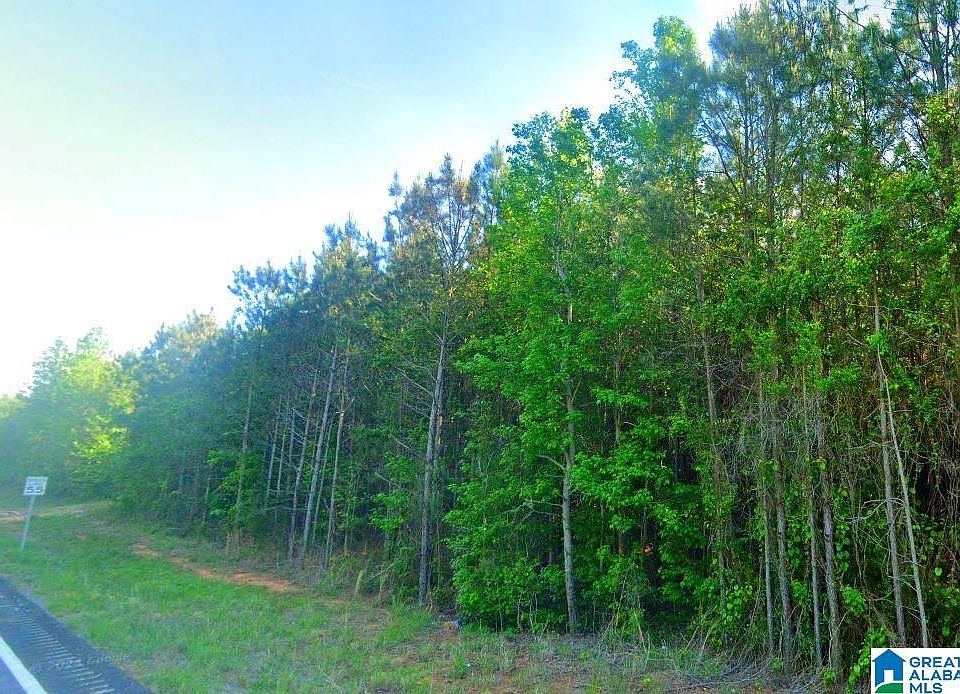 2nd image of 0 Highway 63 #0