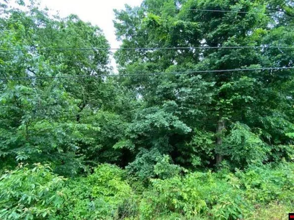 Lts 5 & 6 Johns Cir, Lakeview, AR 72642