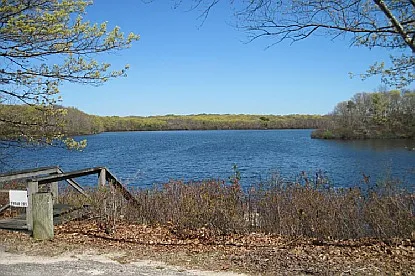 Cottage on the Pond — Photo 4