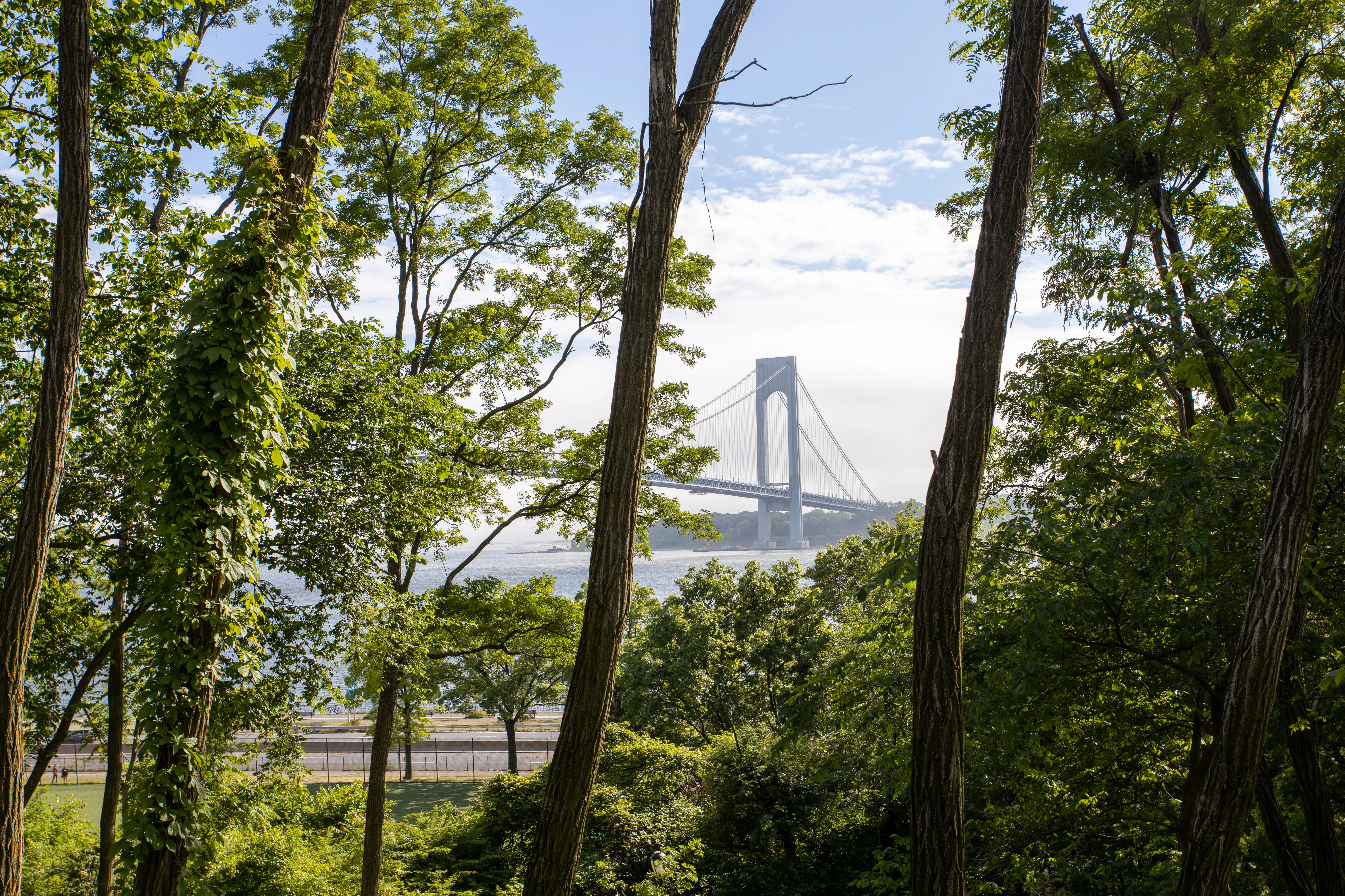 9917 Shore Road #4B in Fort Hamilton, Brooklyn | StreetEasy