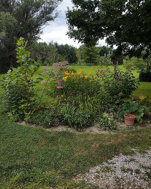 2nd image of 16940 Hosmer Rd