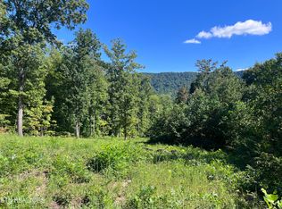 Little Sycamore Rd, Tazewell, TN 37879