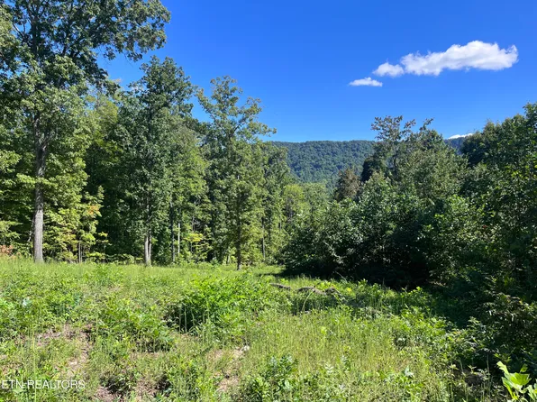 Little Sycamore Rd, Tazewell, TN 37879