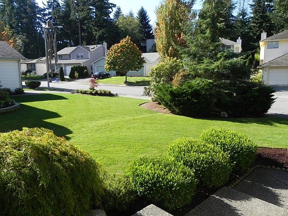 3rd image of 6213 1st Dr SE