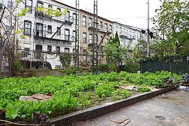 Rented by Coda Real Estate NYC