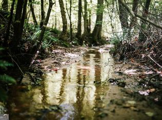 0 Griffin Rd, Lavonia, GA 30553