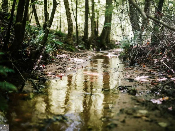 0 Griffin Rd, Lavonia, GA 30553