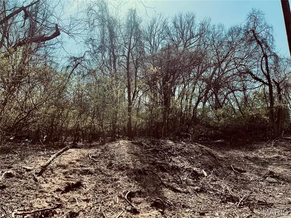 10726 Ridge Ave, Saint Louis, MO 63114