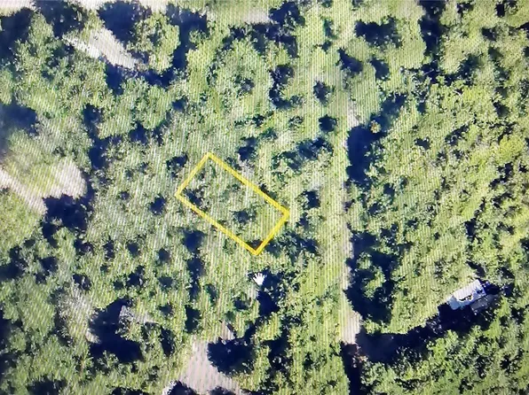 4 Cooper, Pacific Beach, WA 98571