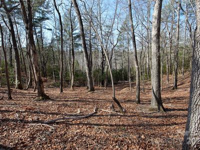 961 Deep Woods Dr, Marion, NC, 28752