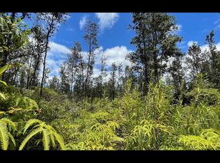 41st Ave LOT 53, Kurtistown, HI 96760