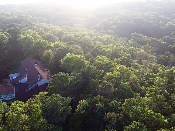 Oak Forest Surroundings