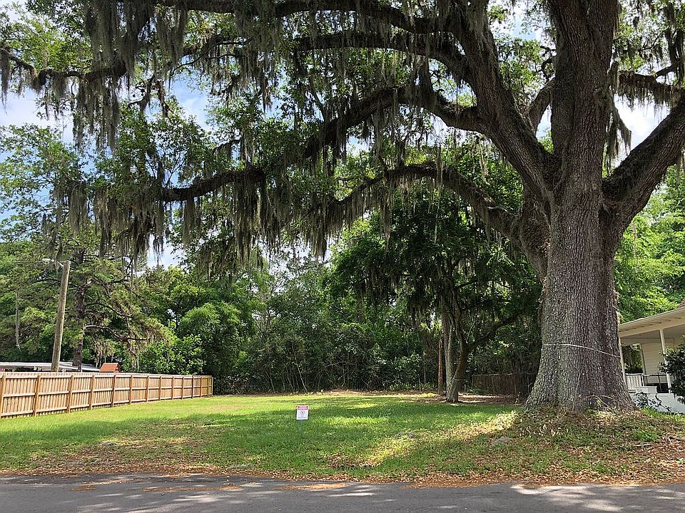 Majestic Live Oak